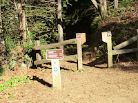 CIMG0205.JPG