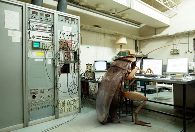 [marc da cunha lopes  03[2].jpg]