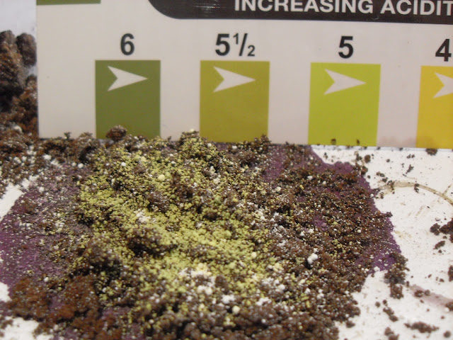 pH results for 9 month old coffee grounds 5.5 to 6