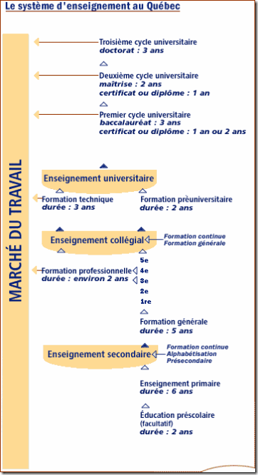 organigramme
