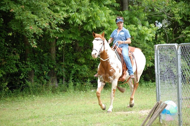 [DSC_0224[3].jpg]