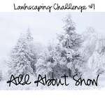 [challenge1snow[1][4].png]
