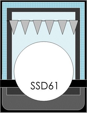[SSD61[3].jpg]
