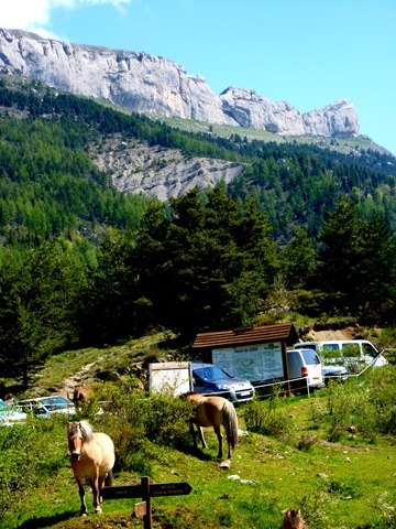 [P10007324.jpg]