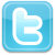 Twitter Icon