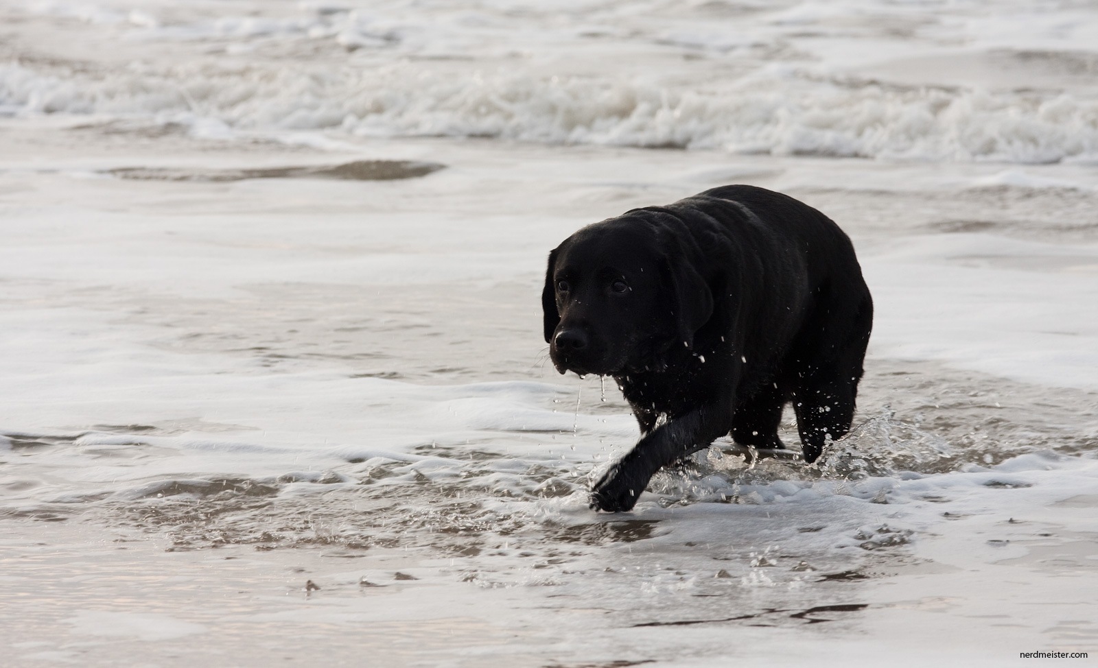 [IMG_20100129_161126_6208[2].jpg]