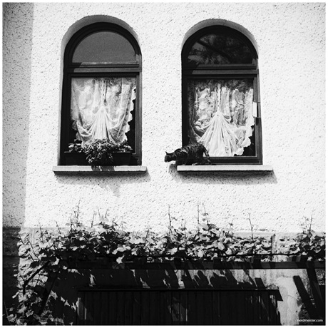 Untitled-5
