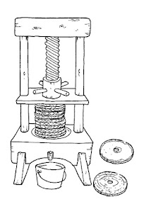 olioEstrazione.jpg