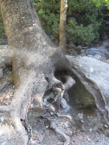 [IMG_03735.jpg]