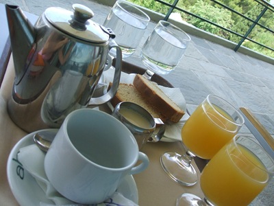 delphi breakfast tray