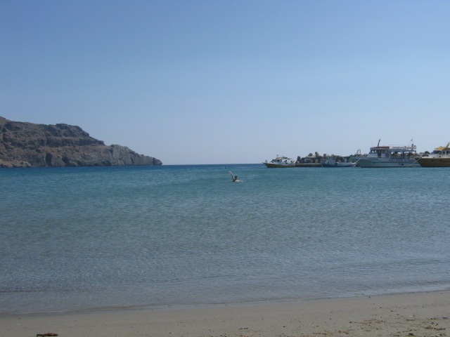 [IMG_06264.jpg]