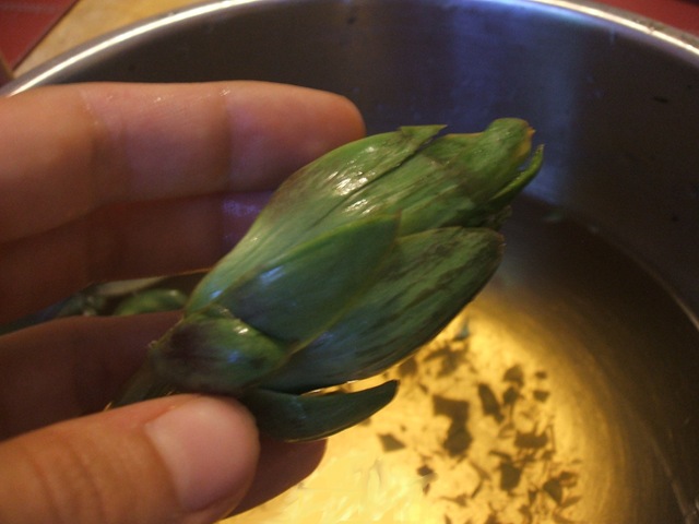 [editedpretrimmingartichoke4.jpg]