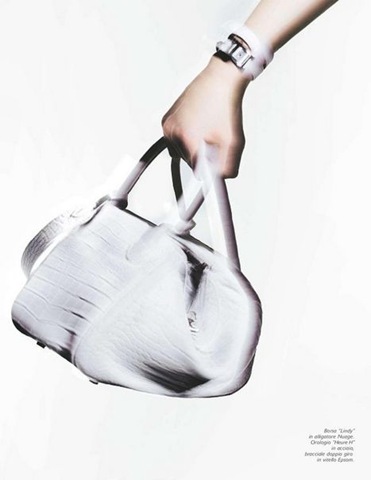 Hermes-ss11 (7)