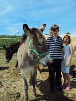 Making new friends