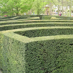 DSCN6778.JPG