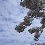 DSCN6760.JPG