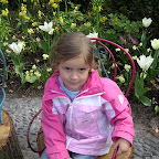 DSCN6806.JPG