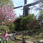 DSCN6829.JPG