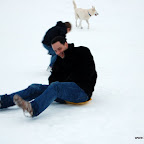 DSC_3462.JPG