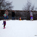 DSC_3481.JPG