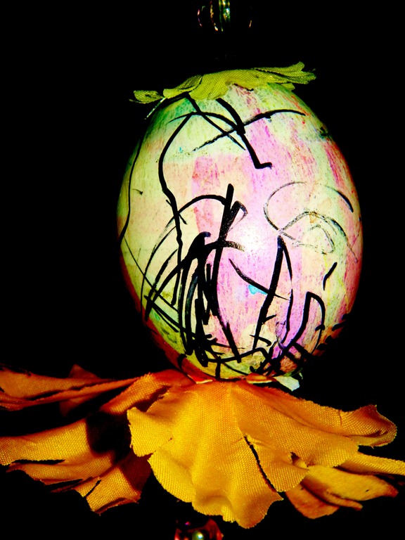 [eggs-up-close-76.jpg]