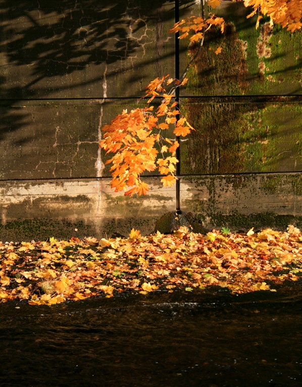 [31.10.2010 019[4].jpg]