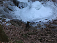 Winter Hike; Cantwell Cliffs State Park, near Logan, OH