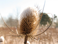 Sharon Woods Metro Park