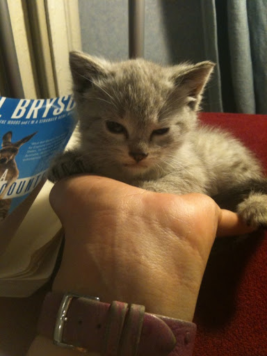 У кого чего хорошего!?