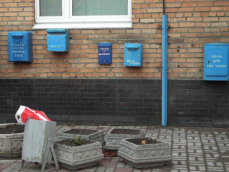 Картинка дня