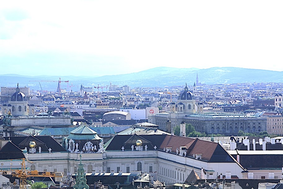 ВнутриВенно, или Моя Вена - Очень субъективный отчет с фото