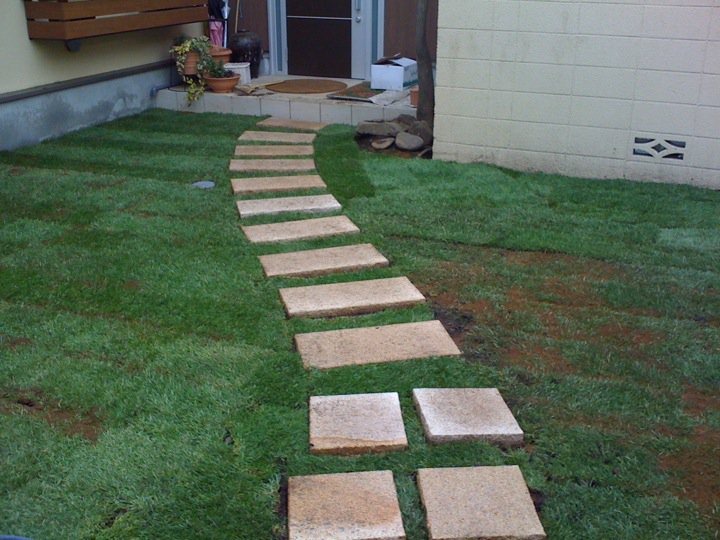 [197849_10150123562043757_542023756_6581495_5609167_n[5].jpg]