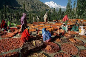 Suku Hunza