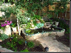 pond