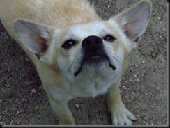 eddie1