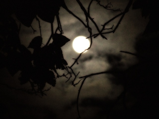 [full moon[2].jpg]
