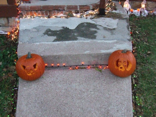 [pumpkins[2].jpg]