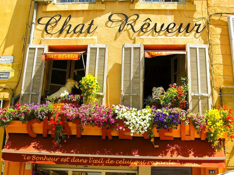 [Chat Reveur_Place de la Mairie_Aix-en-Provence[3].jpg]