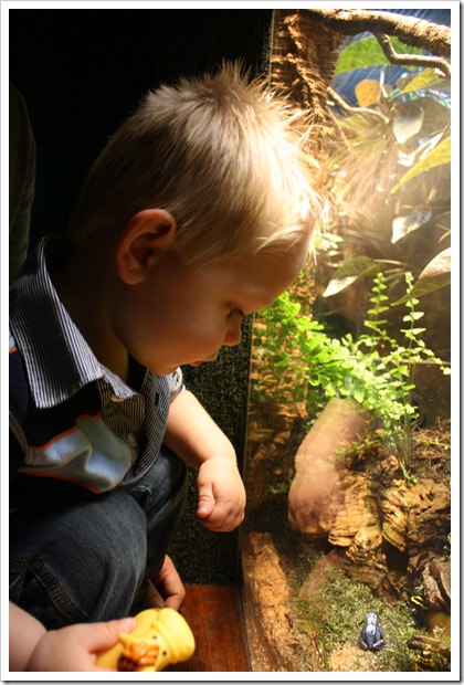 Bryson 2nd Birthday 109