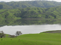 cal res 002.JPG Photo