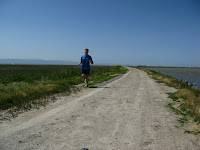 Home to Alviso Loop Logged 120.JPG Photo