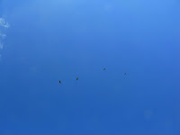 Sunol Regional Wilderness Hike 050.JPG Photo