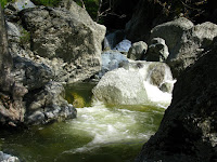 Sunol Regional Wilderness Hike 070.JPG Photo