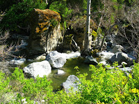 Sunol Regional Wilderness Hike 080.JPG Photo