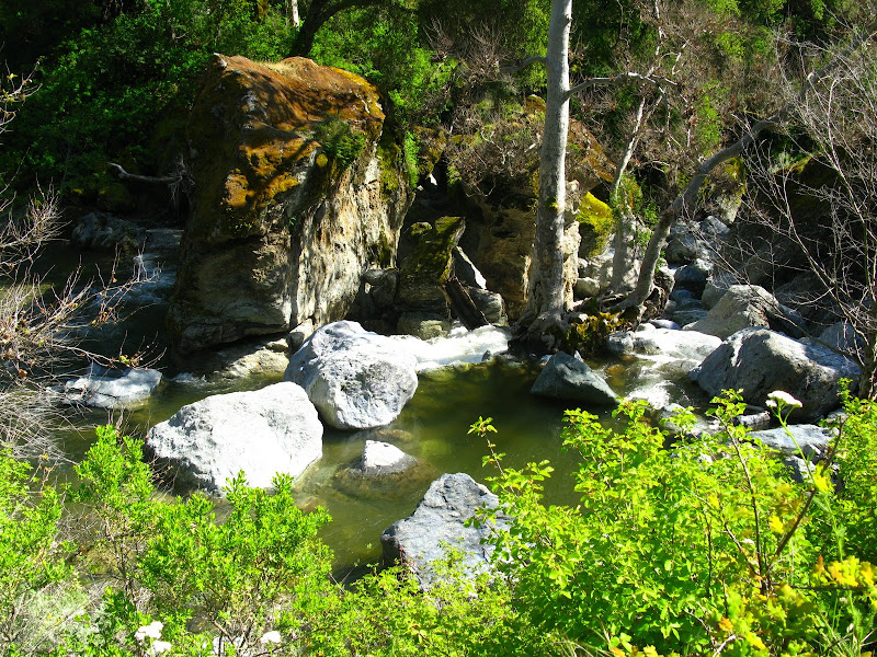 Sunol Regional Wilderness Hike 080.JPG Photo