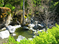 Sunol Regional Wilderness Hike 081.JPG Photo