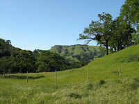 Sunol Regional Wilderness Hike 155.JPG Photo