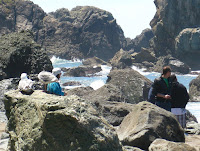 San Fran Lands End Walk 243.JPG