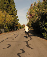 FoothillLogged 003.JPG Photo