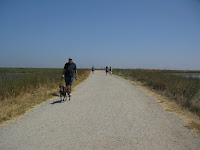 Shoreline and Palo Alto Bike Ride 123.JPG